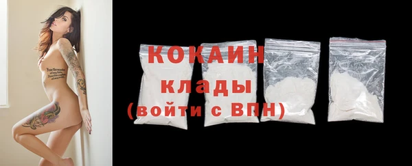 соль ск Волосово
