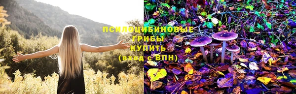 соль ск Волосово