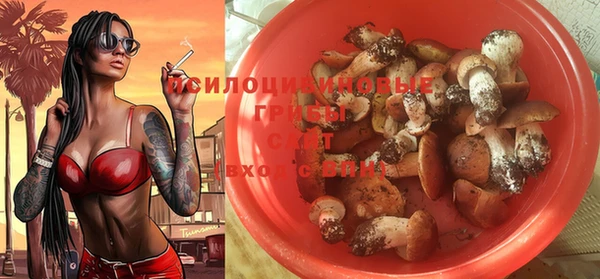 соль ск Волосово