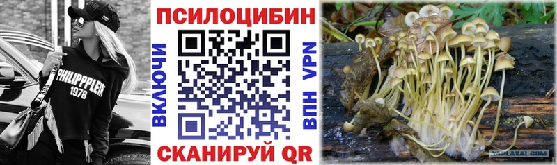 Галлюциногенные грибы ЛСД  дарнет шоп  Ачинск 